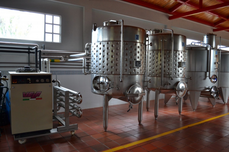 cave-CONTES-min_wine_production_cantine_winery_drink_alcohol_vine_beverage-902036